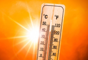 Getting too Hot this Summer Getting too Hot this Summer